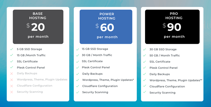 Website Hosting